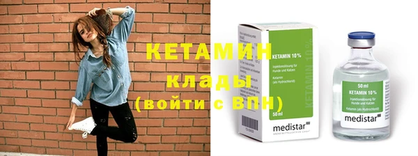 сатива Бородино