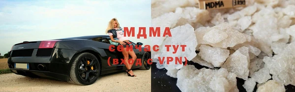 сатива Бородино