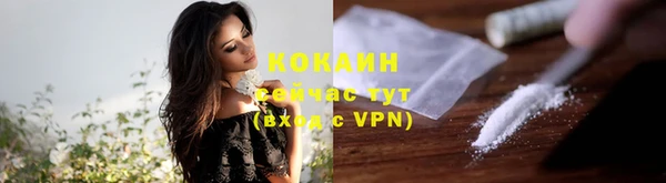 PSILOCYBIN Снежногорск