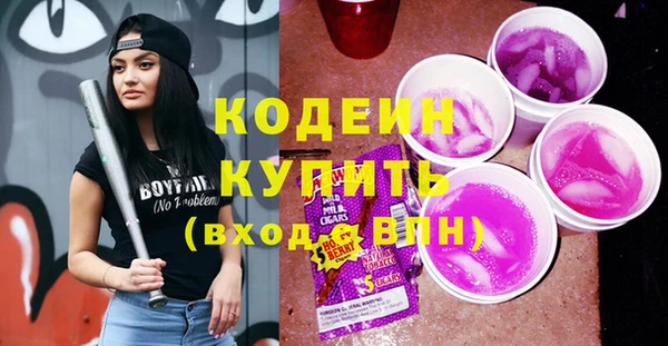 сатива Бородино