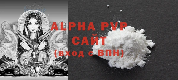 сатива Бородино