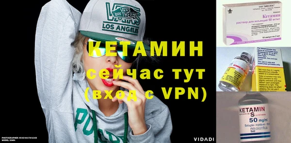 сатива Бородино