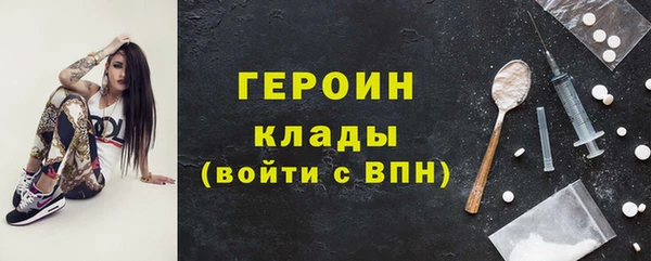 сатива Бородино