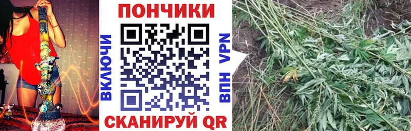 Шишки марихуана ГИДРОПОН  даркнет сайт  Козьмодемьянск 